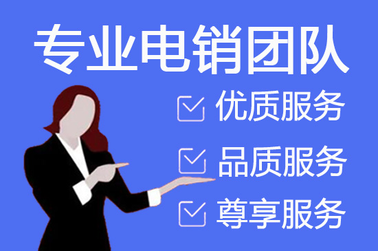 海口专业营销团队